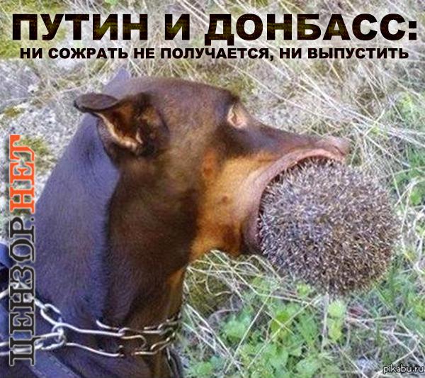 Патовая ситуация