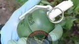 "Розтяжку" з небойовою гранатою виявили в Сирецькому парку Києва. ВIДЕО