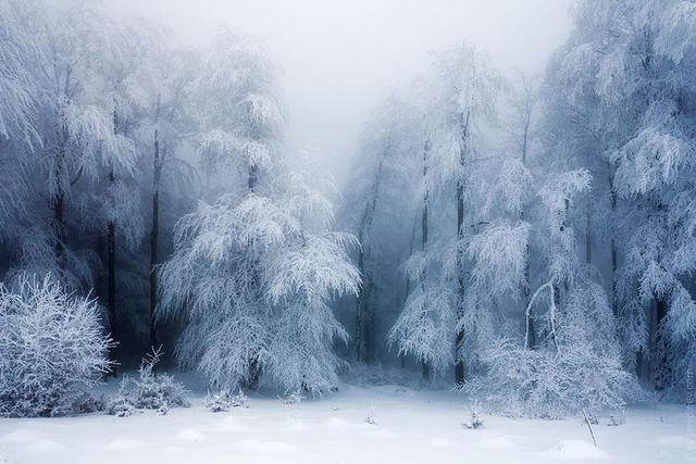 Цензор.НЕТ Изображение
