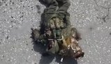 Бойцы 414-й бригады ликвидировали оккупанта, который двигался по дороге среди открытой местности
