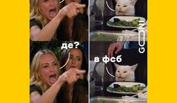 А дійсно, який?