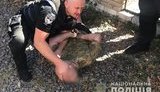 Во время задержания фигурант уголовного производства бросил в полицейских две гранаты. ВИДЕО+ФОТОрепортаж