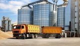 Ринок автоперевезень зерна в Україні почав стабілізуватися після різкого подорожчання