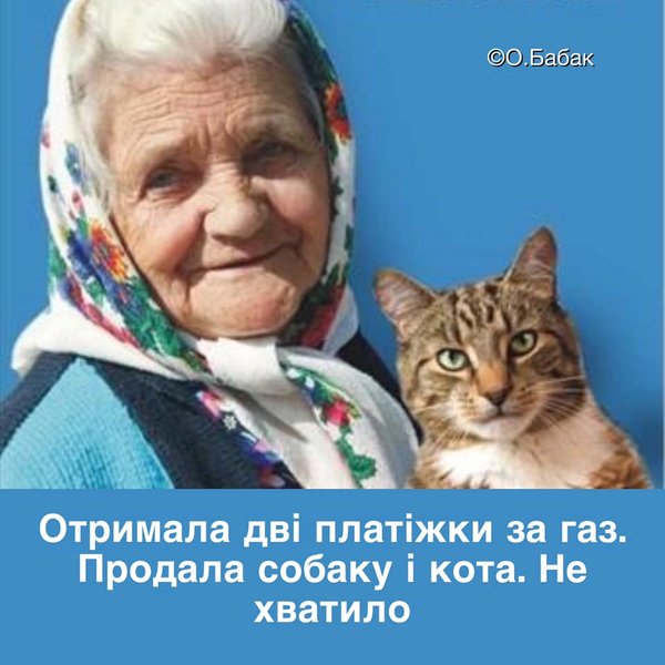 Прощай, Шарик... Пришли из облгаза! Мудрый совет Слуги народа в ФОТОжабах 16