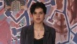 Студентка Степаненко: Сегодня я сделала поступок - дала по морде министру Табачнику. ВИДЕО.