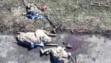 Occupiers carrying crutches lying on the road