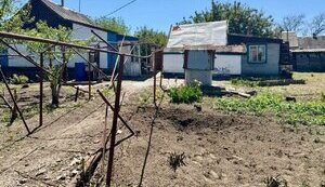 РФ обстреляла из артиллерии Приморское в Запорожской области: ранен мужчина, который работал во дворе. ФОТО