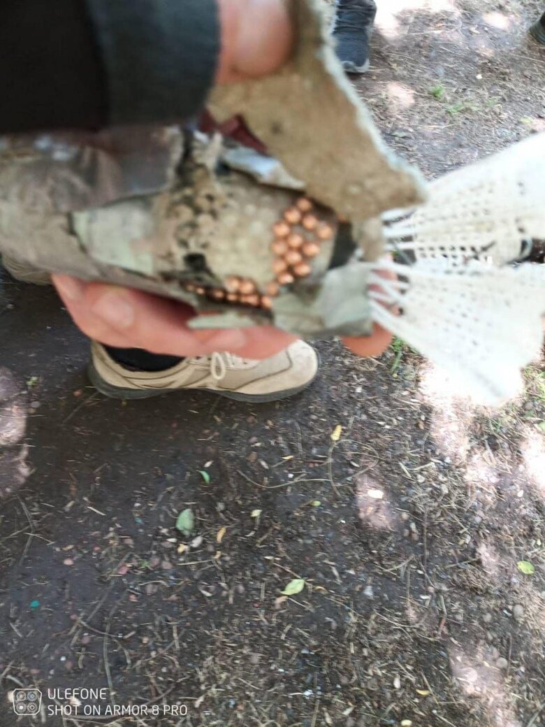 Безпілотники рашистів скидали на Сумщині саморобні вибухові пристрої, - Живицький 03