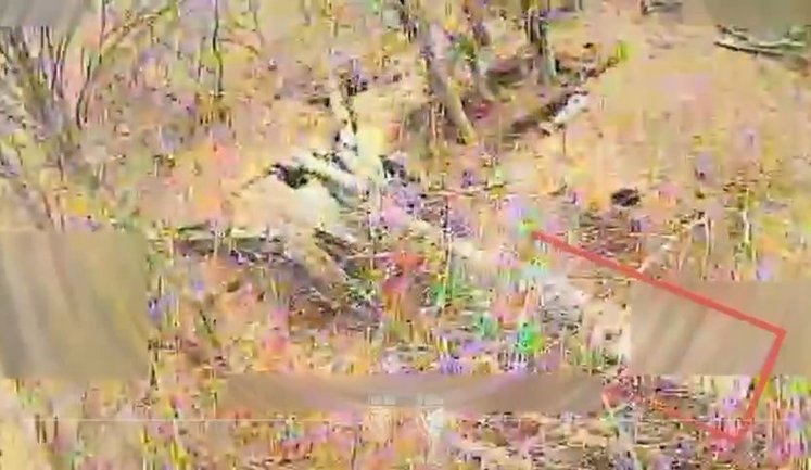 Десантники 79-й бригады разгромили две вражеские гаубицы "Д-30" под Мирноградом. ВИДЕО