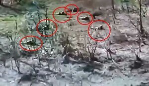 Штурмову групу окупантів накриває касетним боєприпасом. ВIДЕО