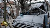 В Николаеве КАМАЗ вылетел на обочину и "выкорчевал" дерево. ФОТОрепортаж