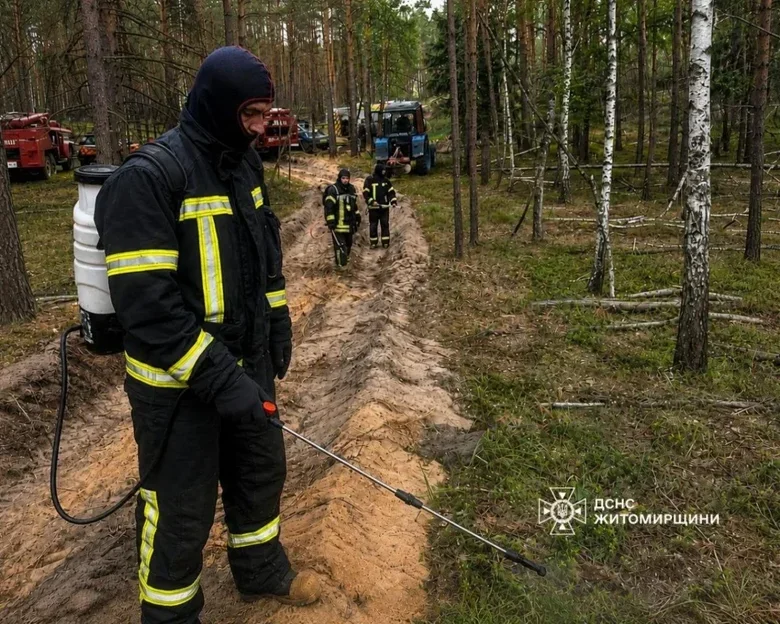 Пожежа у заповіднику Древлянський