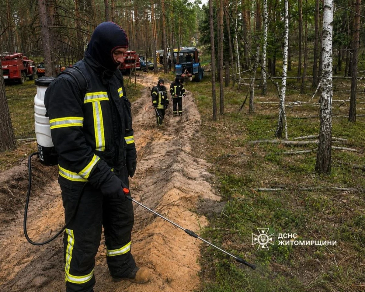 Пожежа у заповіднику Древлянський