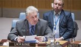 Украина будет подавать в Генассамблею ООН новые резолюции по Крыму, - Ельченко