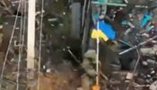 Українські десантники звільнили Кучерів Яр на Донеччині