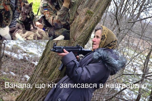 курьез добровольцы защитники