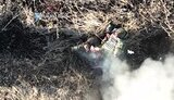 окупант,всьо
