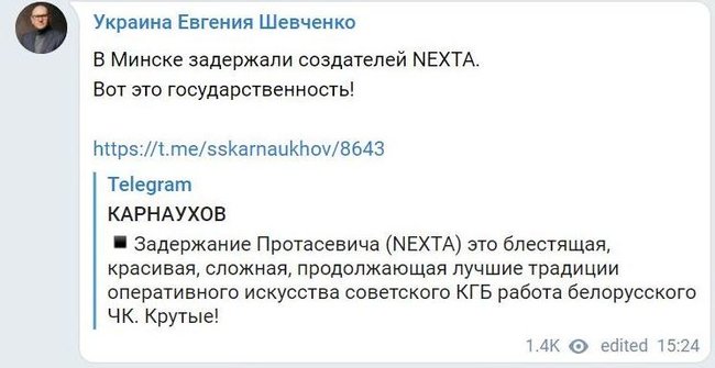 Слуга народу Шевченко радіє затриманню у Мінську журналіста Протасевича: Ось це державність! 01