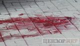 убийство шевченко артем вороненков