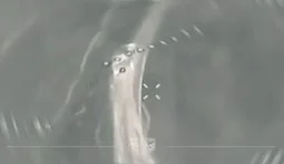 Бійці 79 десантної бригади ліквідували окупантів, які намагалися прорватися в центр Мирнограда