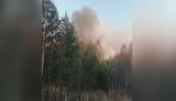 С начала года в экосистемах возникло пожаров на 25% больше, чем в прошлом году. Главная причина - человеческий фактор, - ГСЧС