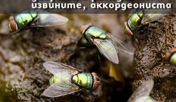 Золотая элита страны