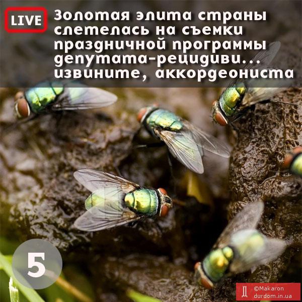 Золотая элита страны
