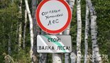 Медведев "кинул" защитников Химкинского леса: "Стройку уже нельзя остановить".