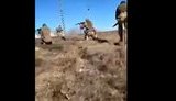 чеченці,добровольці