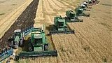 Урожай зерновых в 2017 году снизится до 60-63 миллионов тонн, – Минагрополитки