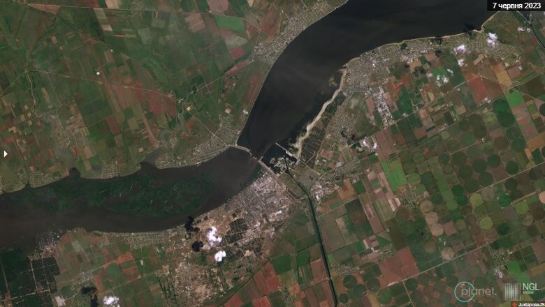 Ліси Херсонщини