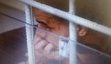 Грабчук визнав, що облив сірчаною кислотою Гандзюк. На його тілі виявлено сліди кислоти. ВIДЕО