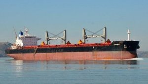 В порту Черноморск простаивает задержанное Госэкоинспекцией судно