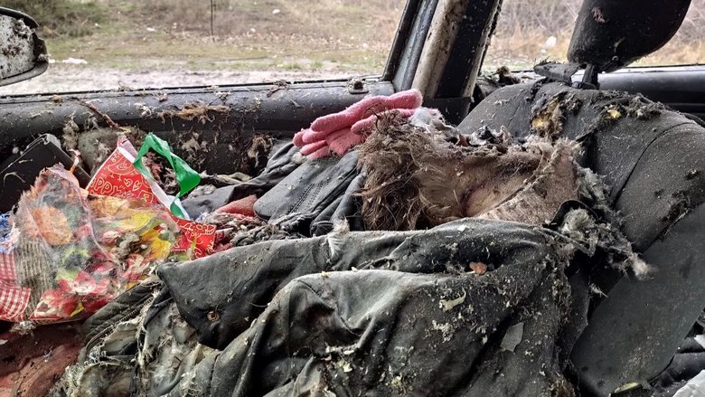 Різня в Бучі: машину прошило кулями, ніби вона паперова, жінці відірвало голову 05