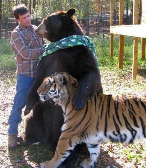 Цензор.НЕТ Изображение