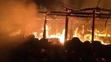 У приватному господарстві на Харківщині заживо згоріли 50 свиней, - ДСНС. ФОТОрепортаж