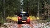 Мигранты снова пытались прорваться из Беларуси в Польшу