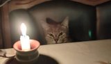 У п’ятницю світло відключатимуть із 06:00 до кінця доби, обмежуватимуть до 2,5 черги, – "Укренерго"