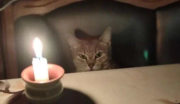 У п’ятницю світло відключатимуть із 06:00 до кінця доби, обмежуватимуть до 2,5 черги, – "Укренерго"