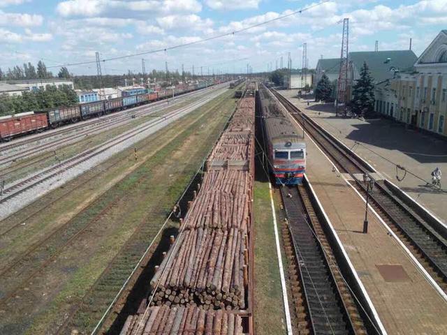 В Донецкой области налоговики раскрыли схему незаконного перемещения товаров на неподконтрольную территорию, задержано 35 вагонов древесины 01