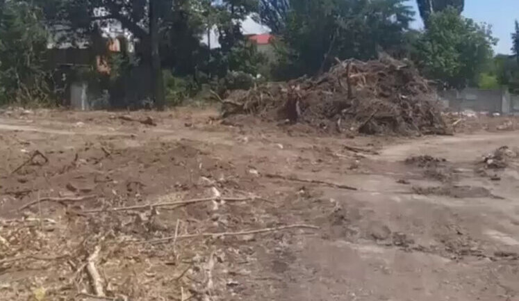 Ruscists completely dismantled camp in occupied Mariupol, destroyed all the trees. VIDEO