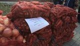 выборы