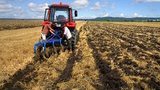 У государства очень много земли, которую сегодня обрабатывают на коррупционных основаниях, - Разумков