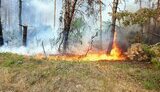 пожары в Харьковской области