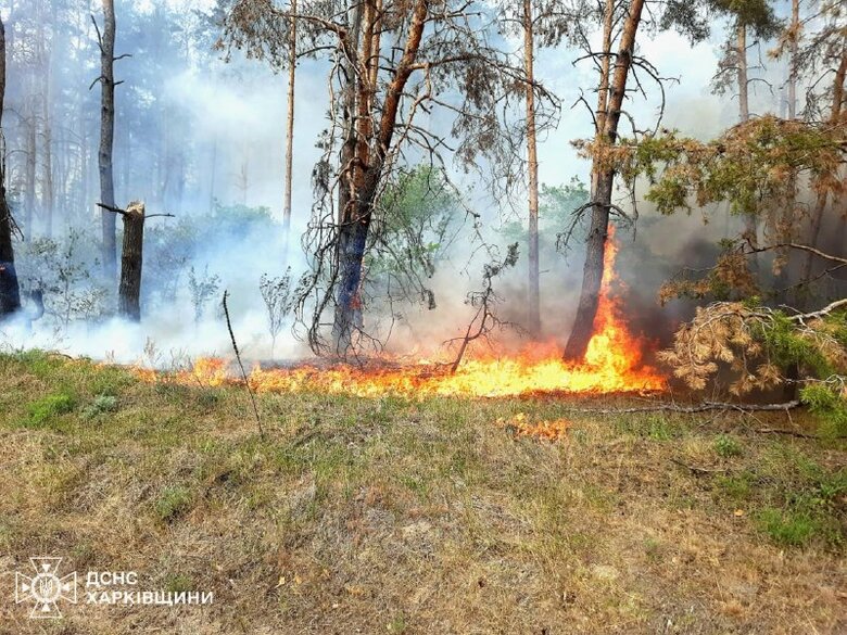 пожежі на Харківщині