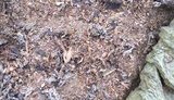 У жителя Хмельницької області вилучено 480 кг тютюну, призначеного для незаконного продажу. ФОТОрепортаж