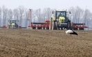 Україна забезпечена добривами для посівної на 84%, – Мінагрополітики