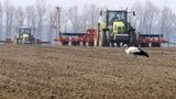 Україна забезпечена добривами для посівної на 84%, – Мінагрополітики
