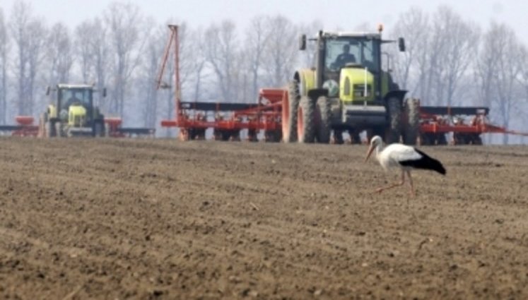 Україна забезпечена добривами для посівної на 84%, – Мінагрополітики