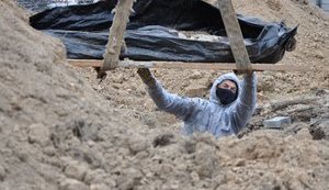 могила,буча,братська,ексгумація